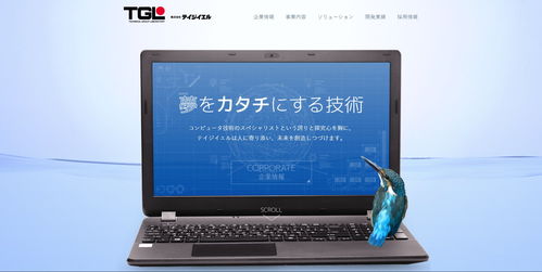 TGL帝技爺如 在計(jì)算機(jī)軟硬件交織中的游戲征途